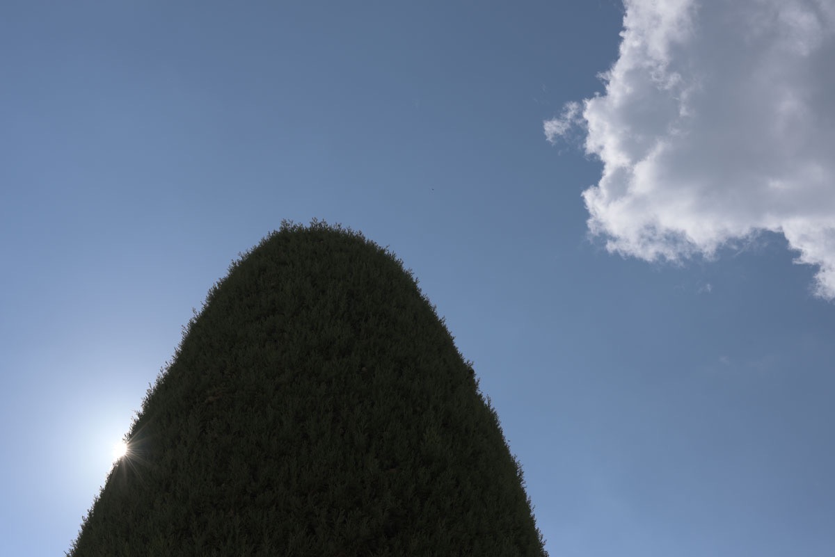 nowhere - 63