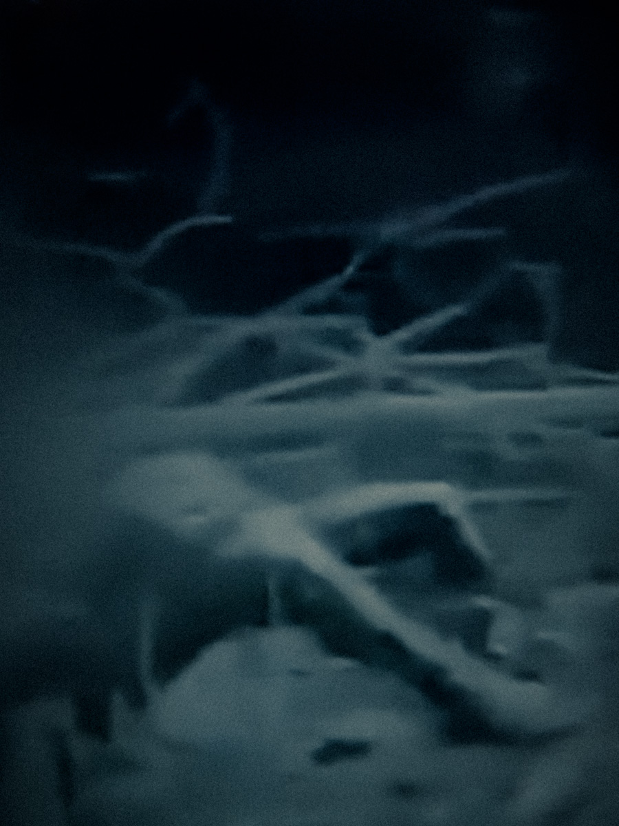 blueaswarBT-31