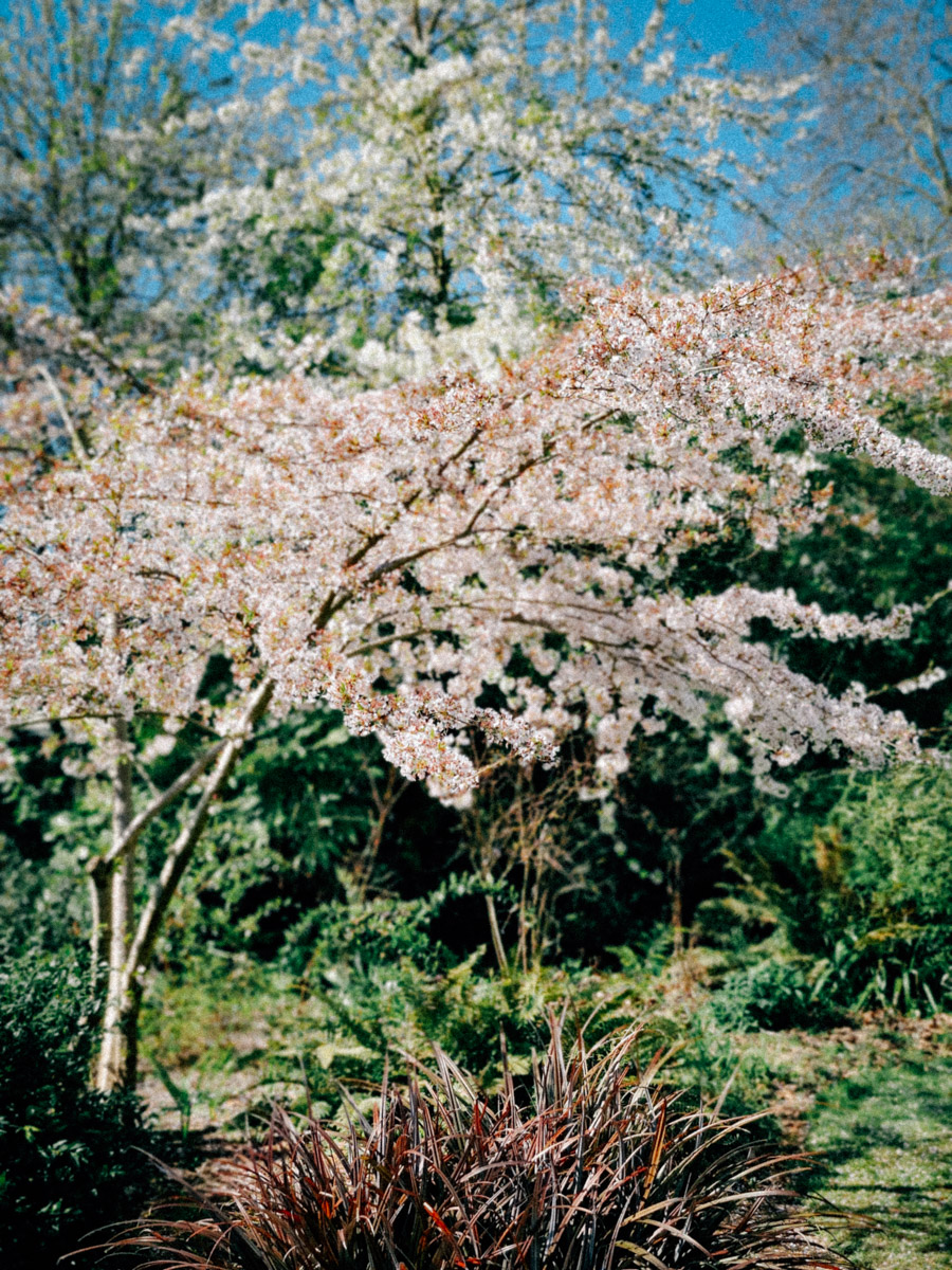 LondonBT-51