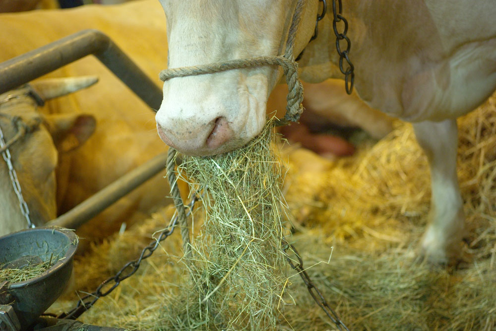 salon agriculture - 007