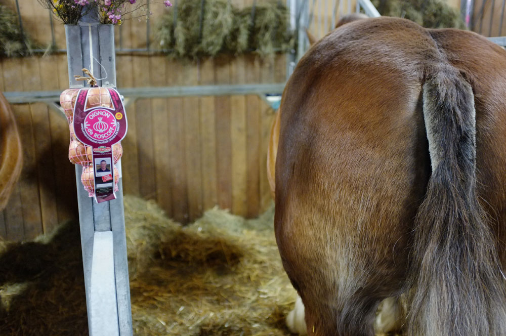 salon agriculture - 042