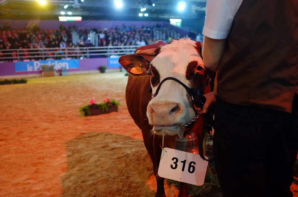 salon agriculture - 053