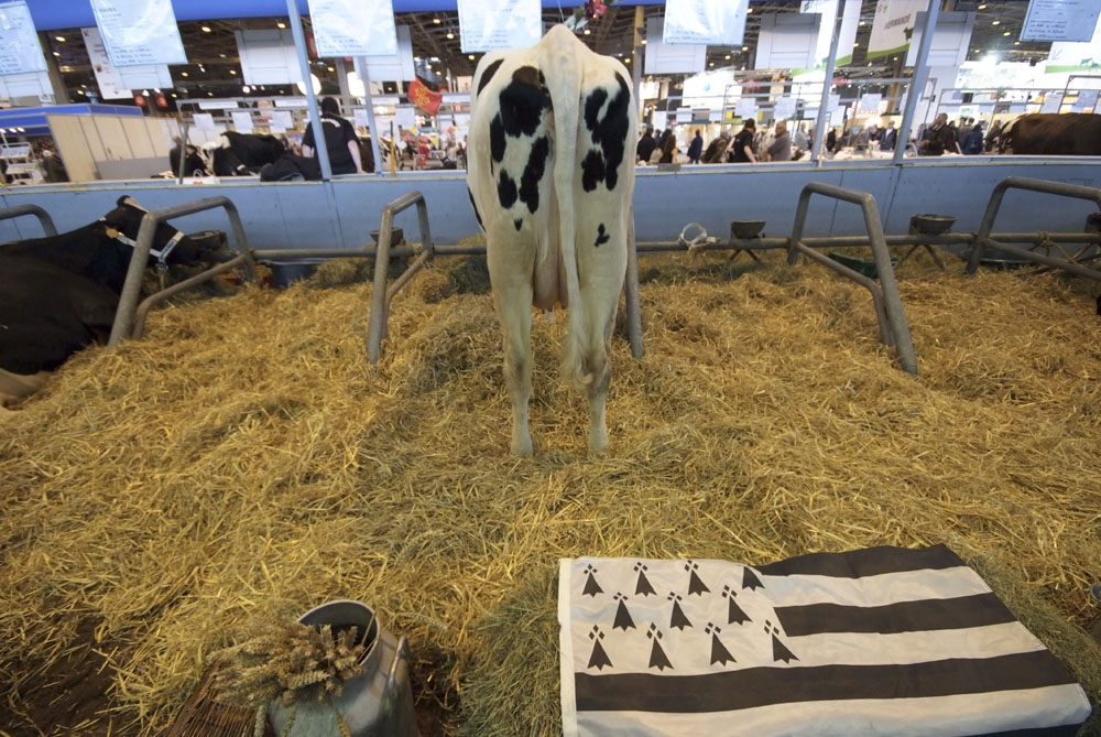 salon agriculture - 055