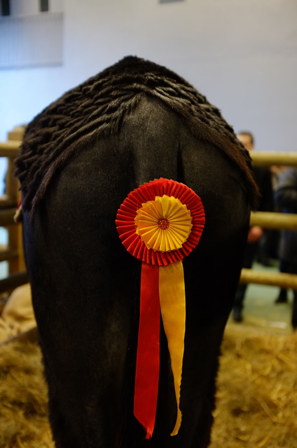 salon agriculture - 056