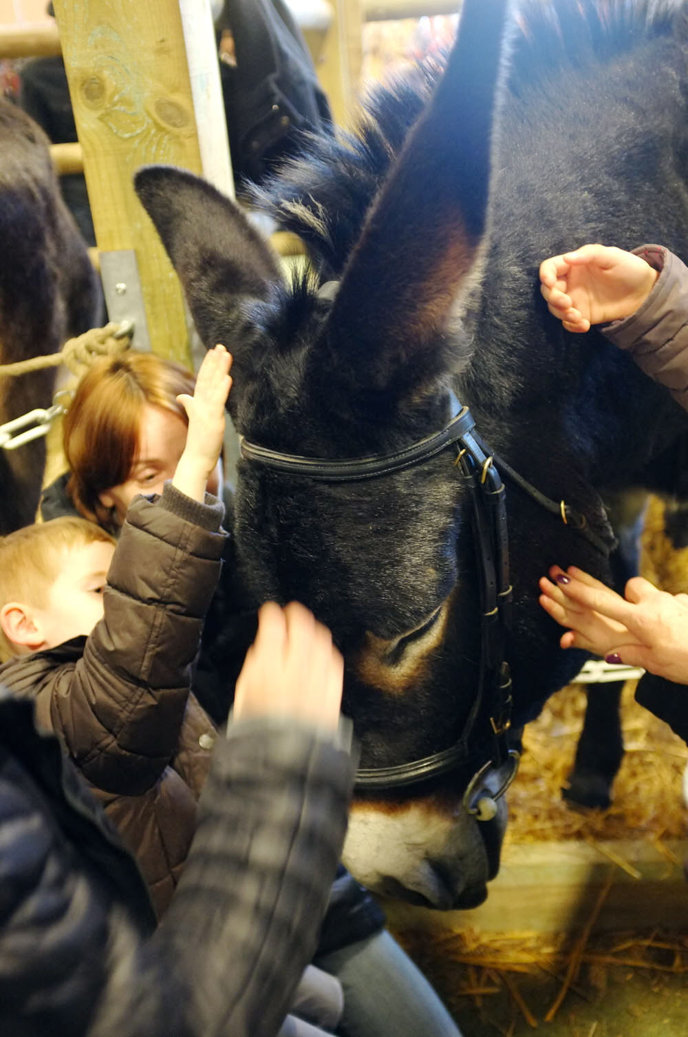 salon agriculture - 062