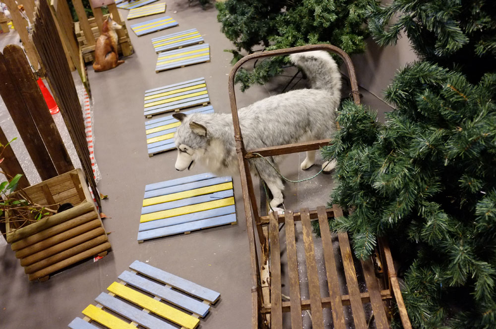 salon agriculture - 074