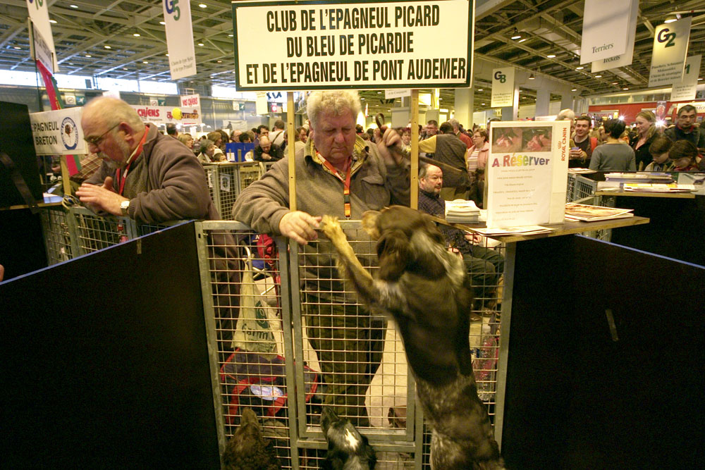 salon agriculture - 076