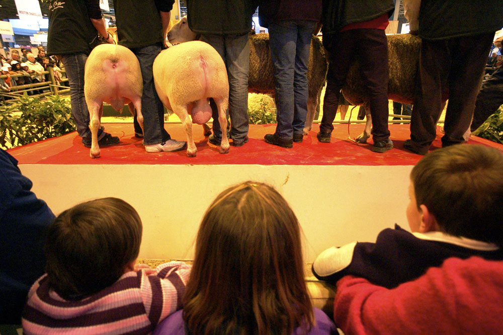 salon agriculture - 080