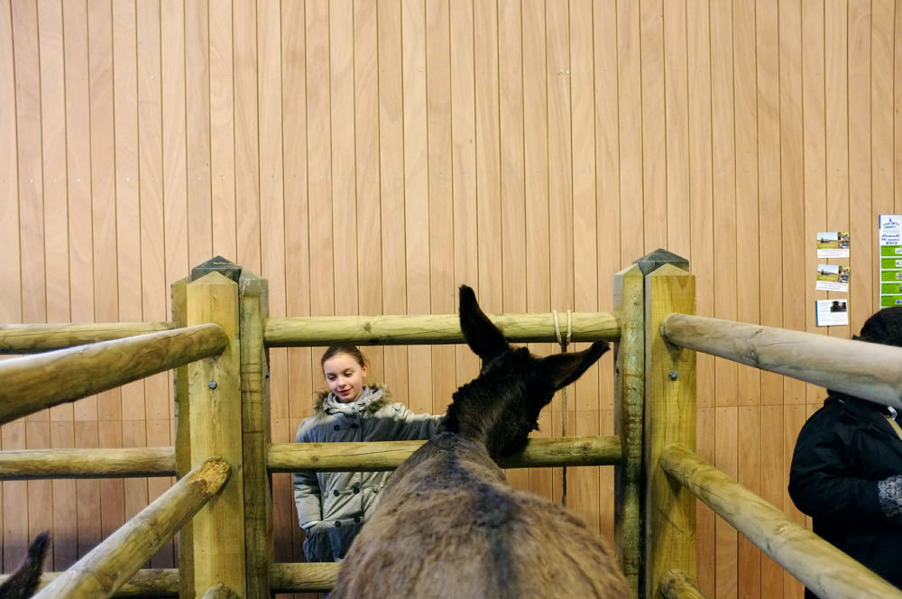salon agriculture - 088