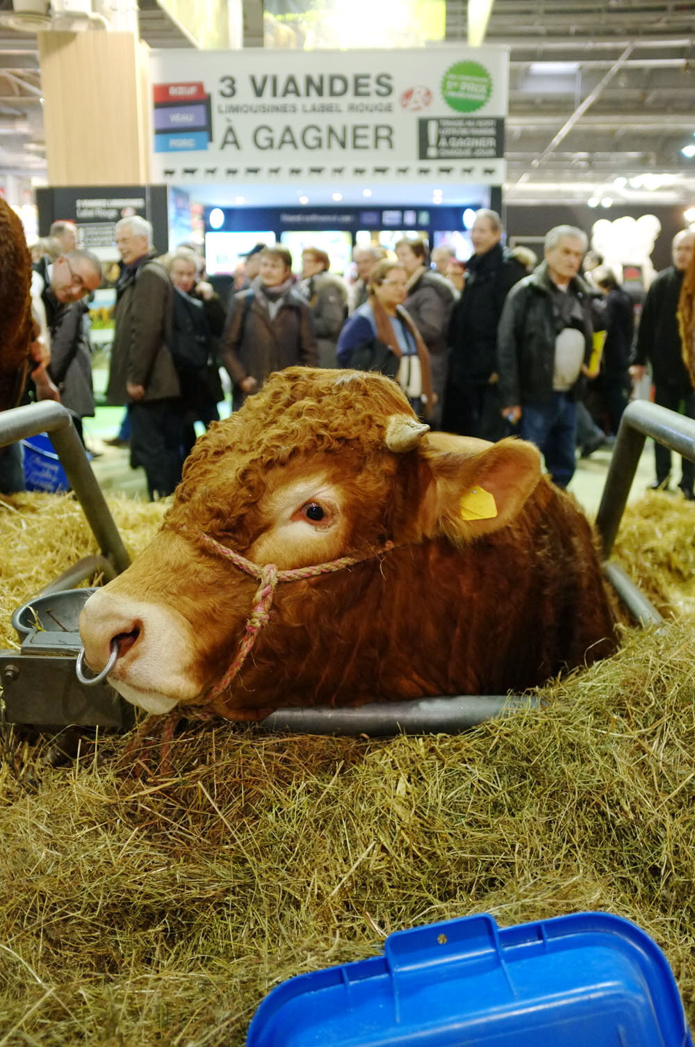 salon agriculture - 097
