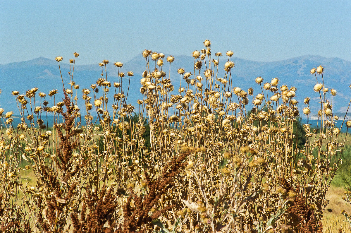 etealbanaisBT-126