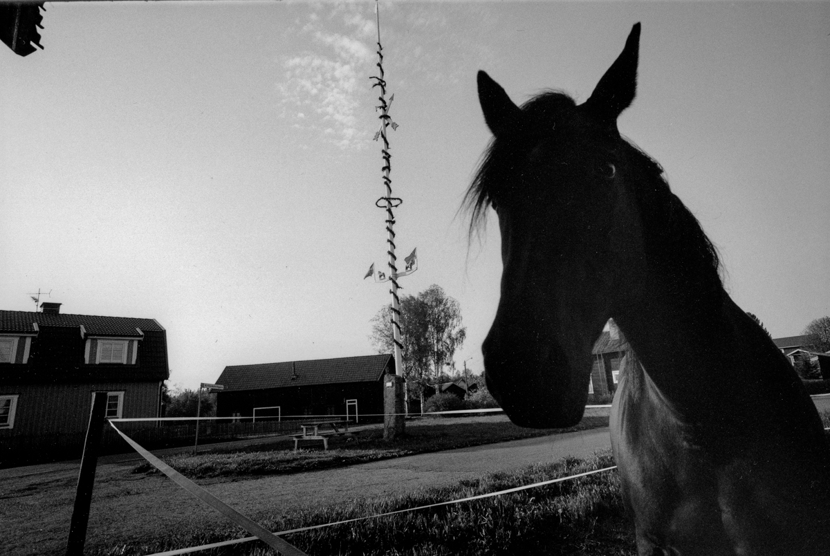 scandinavieBT - 02