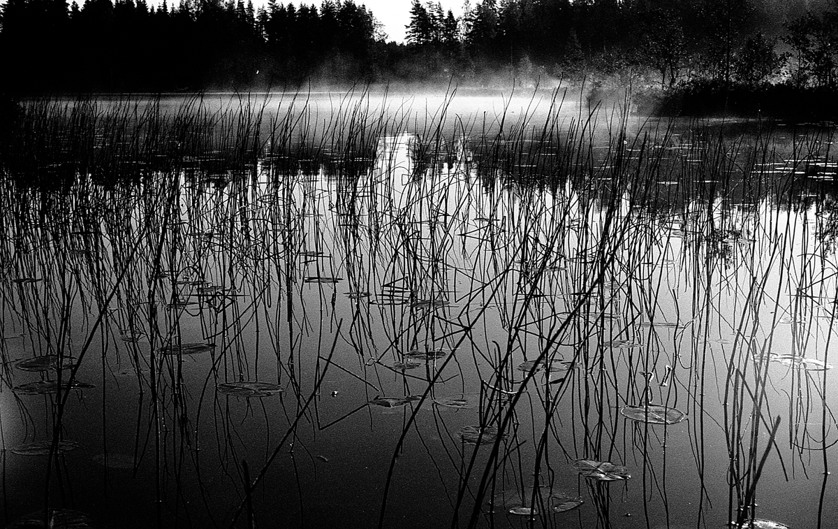 scandinavieBT - 06