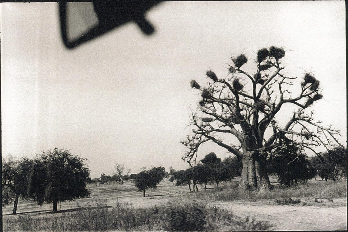 bonjourleblanc - 13