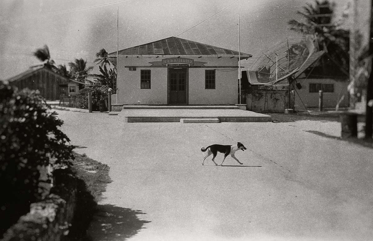 Fenua - 36