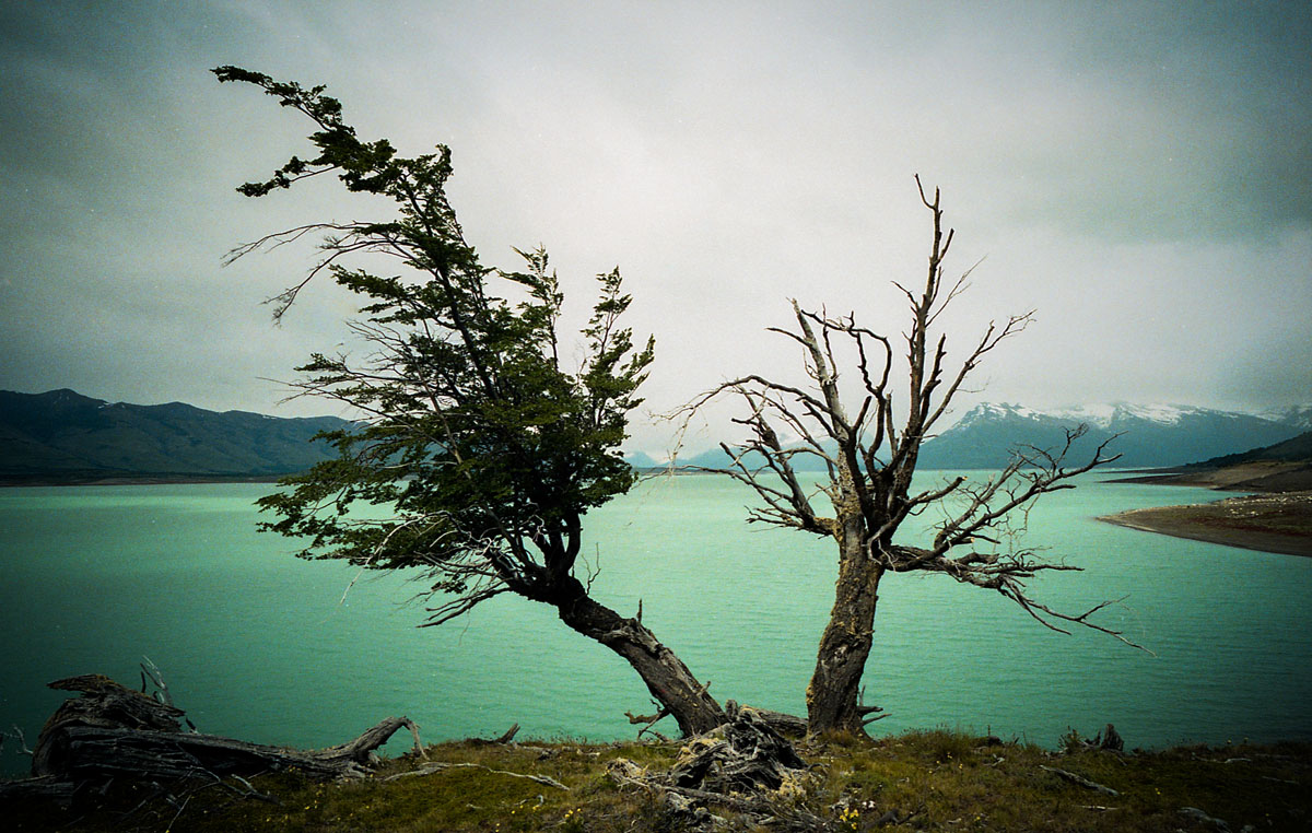 PatagoniaBT - 52