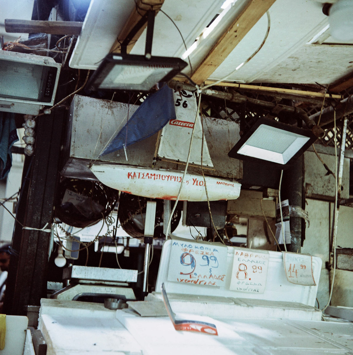 HallesBT-12