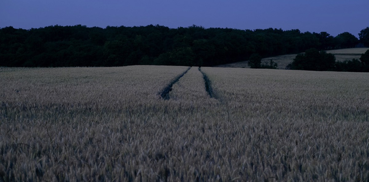 Stacks Image 41