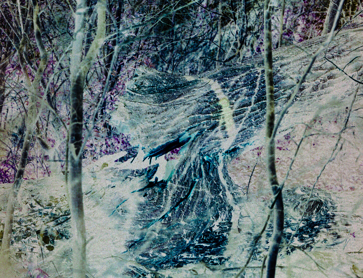 ChaosBT-1