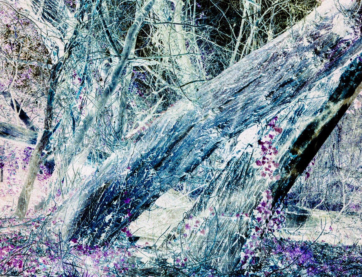 ChaosBT-2