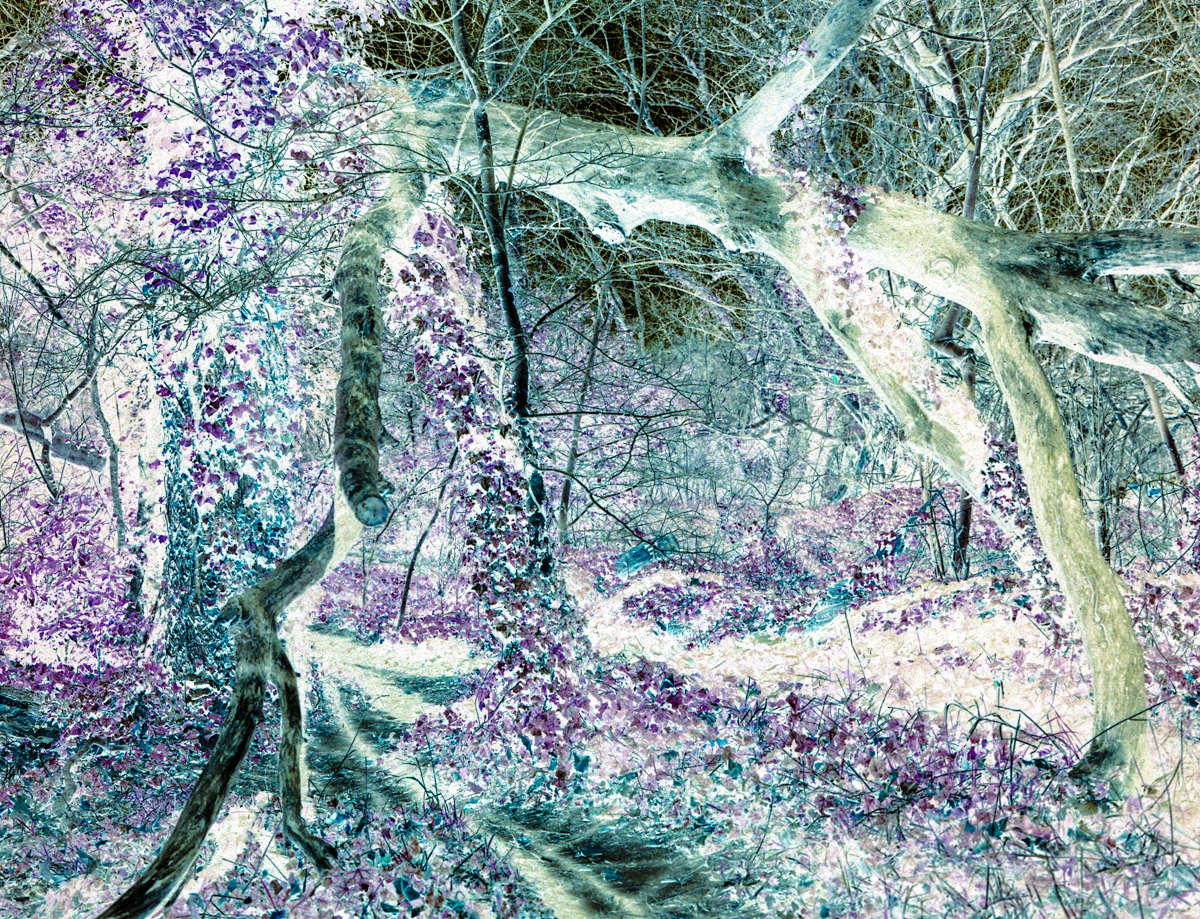 ChaosBT-3