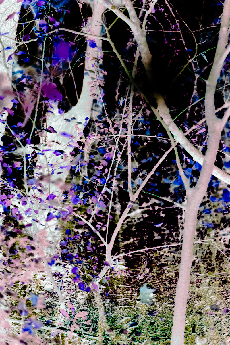 ChaosBT-33