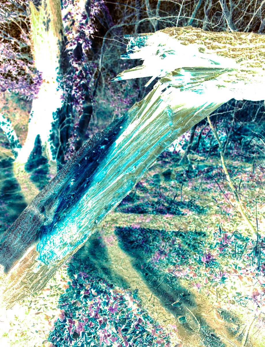 ChaosBT-5