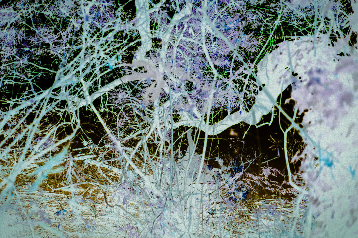 ChaosBT-7