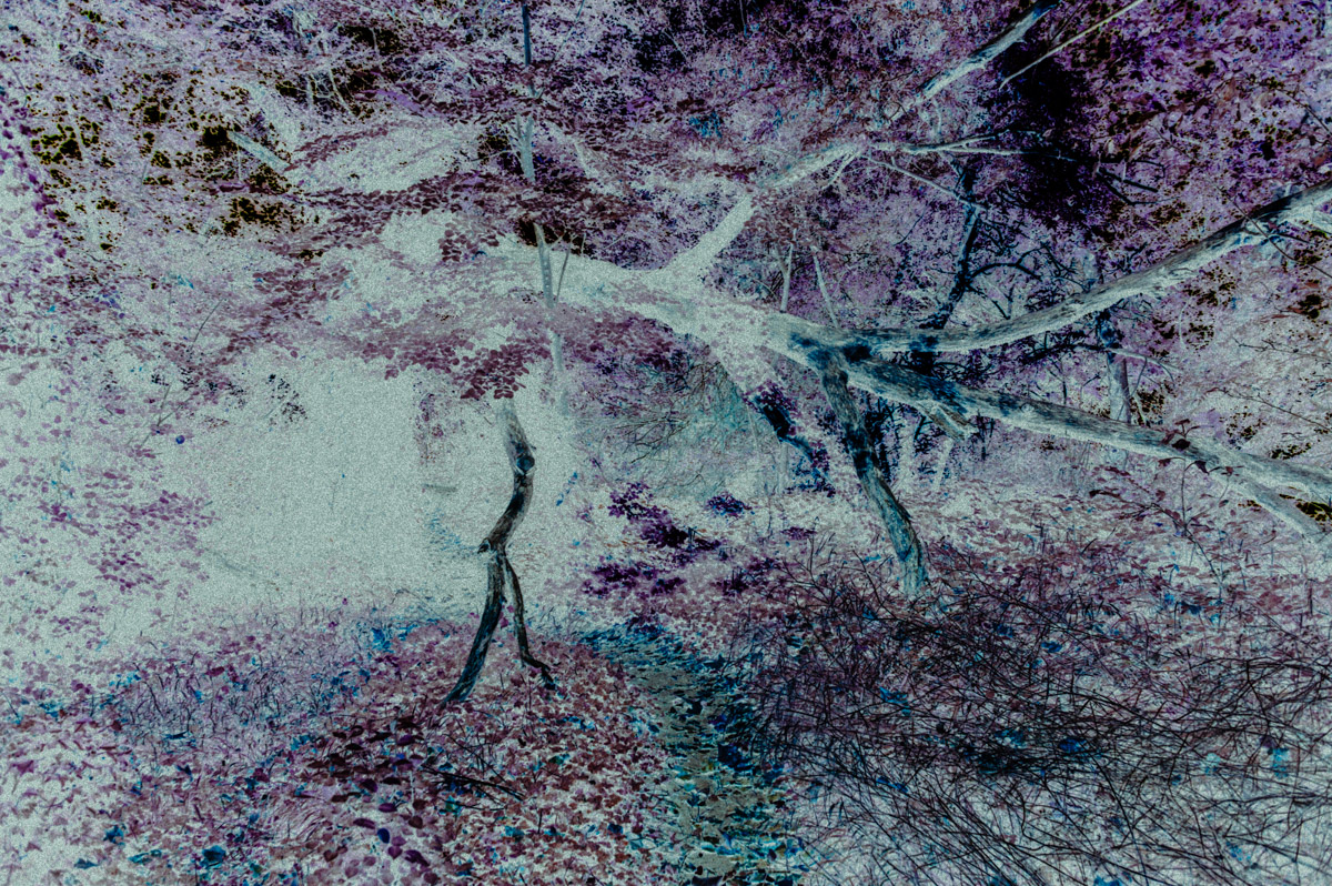 ChaosBT-9