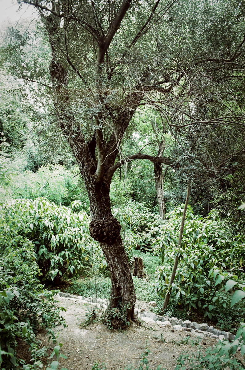 JardinNatBT-10
