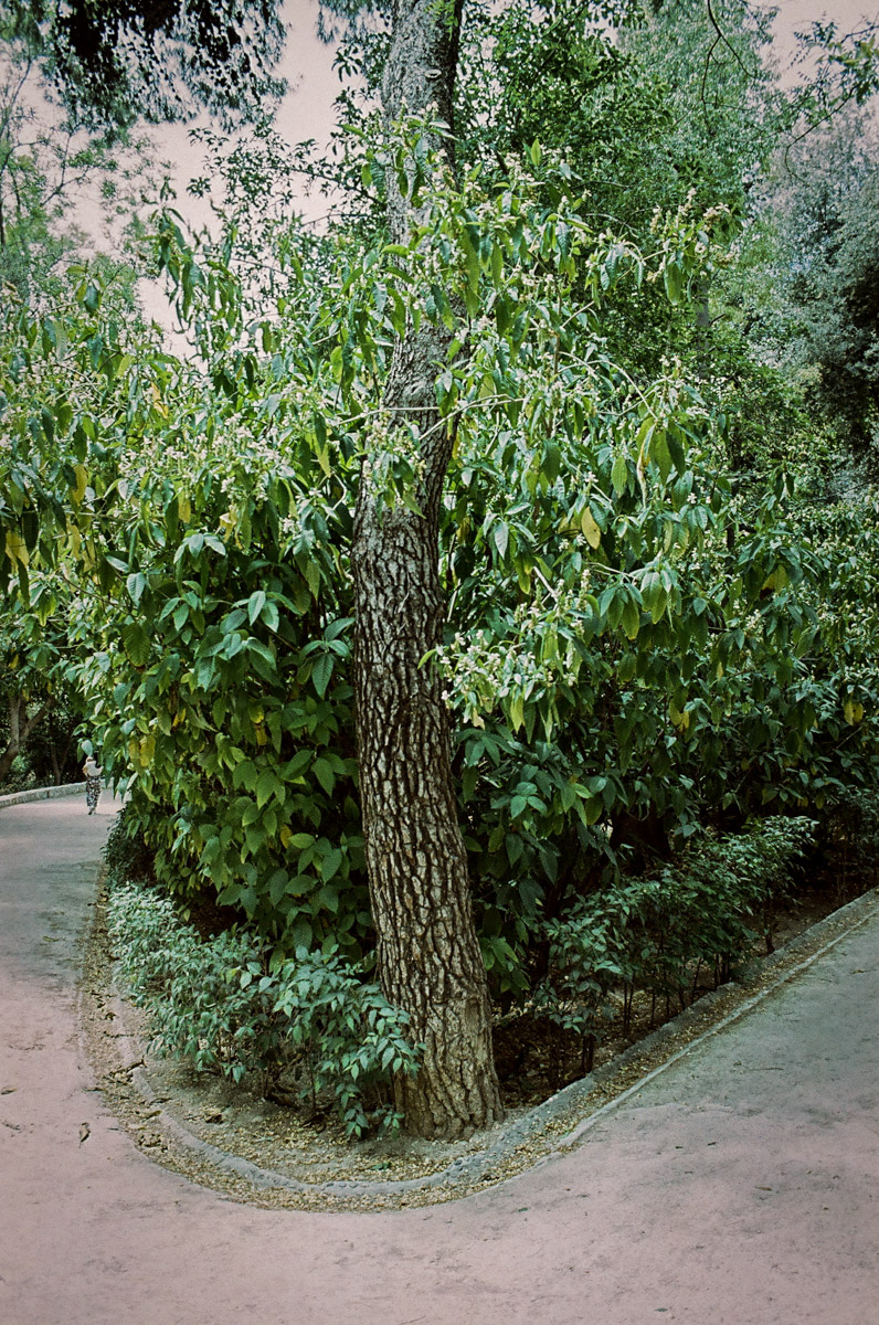 JardinNatBT-11