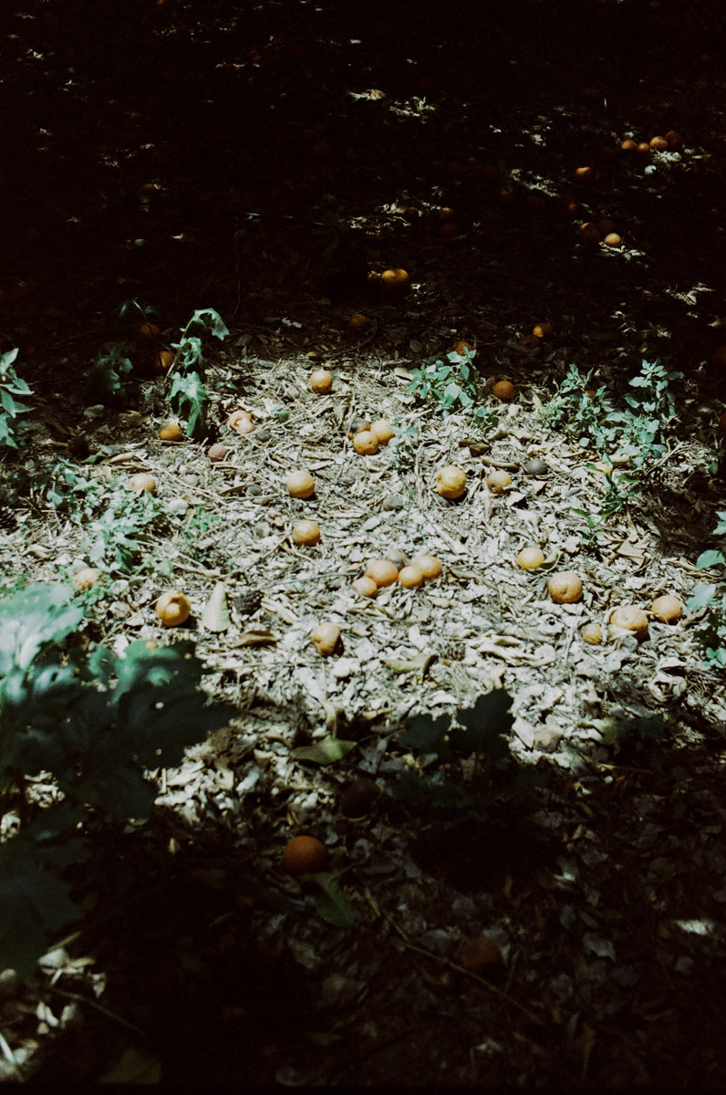 JardinNatBT-13