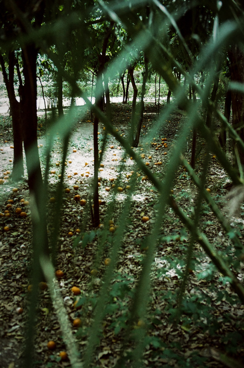 JardinNatBT-14