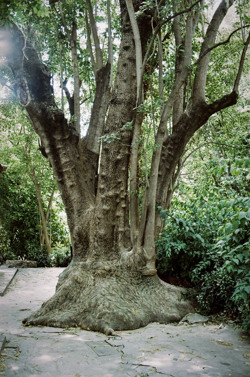 JardinNatBT-15