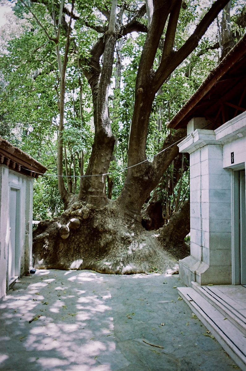 JardinNatBT-16