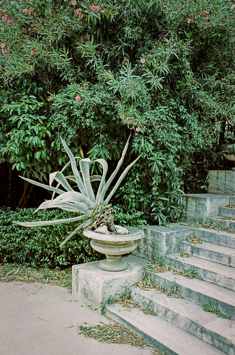 JardinNatBT-18