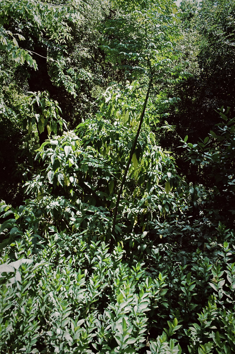 JardinNatBT-2