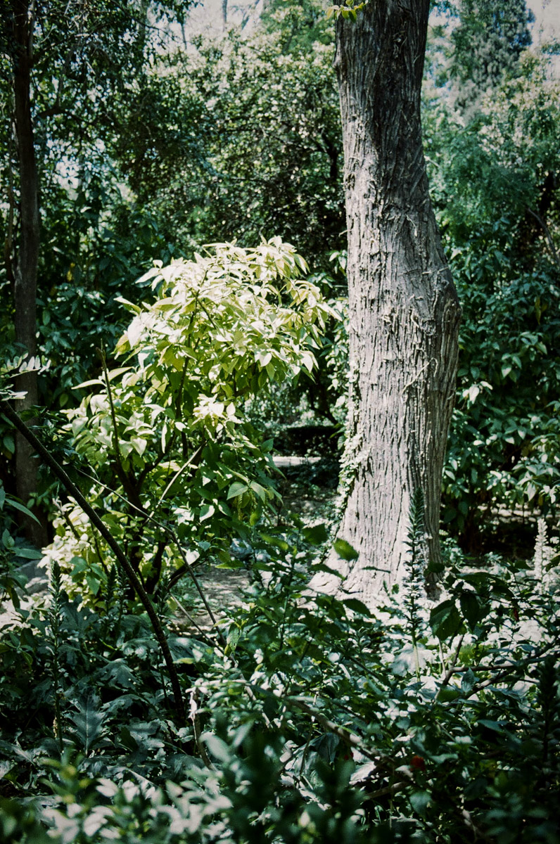 JardinNatBT-20