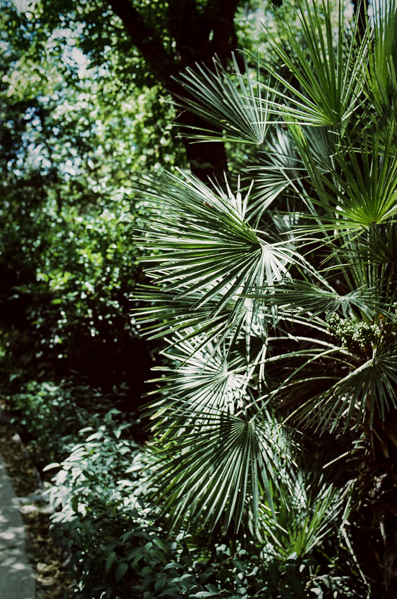 JardinNatBT-21