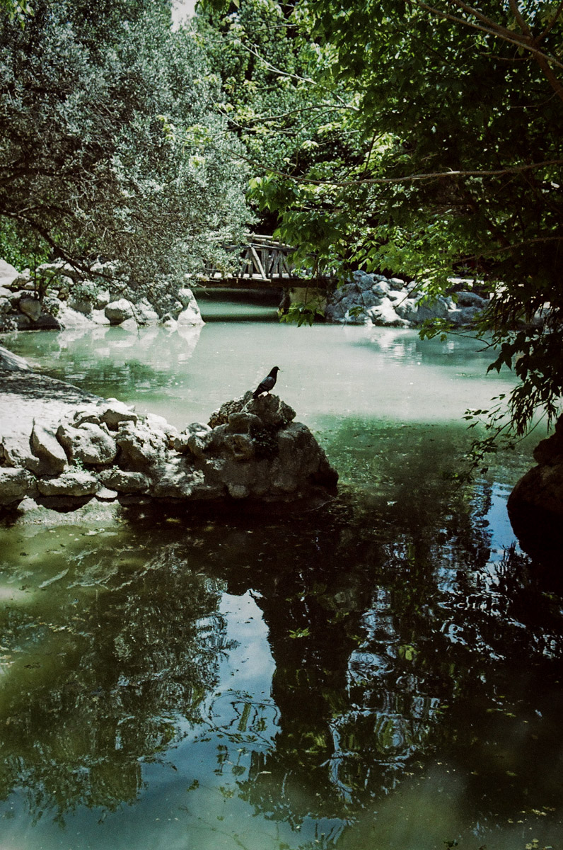 JardinNatBT-22