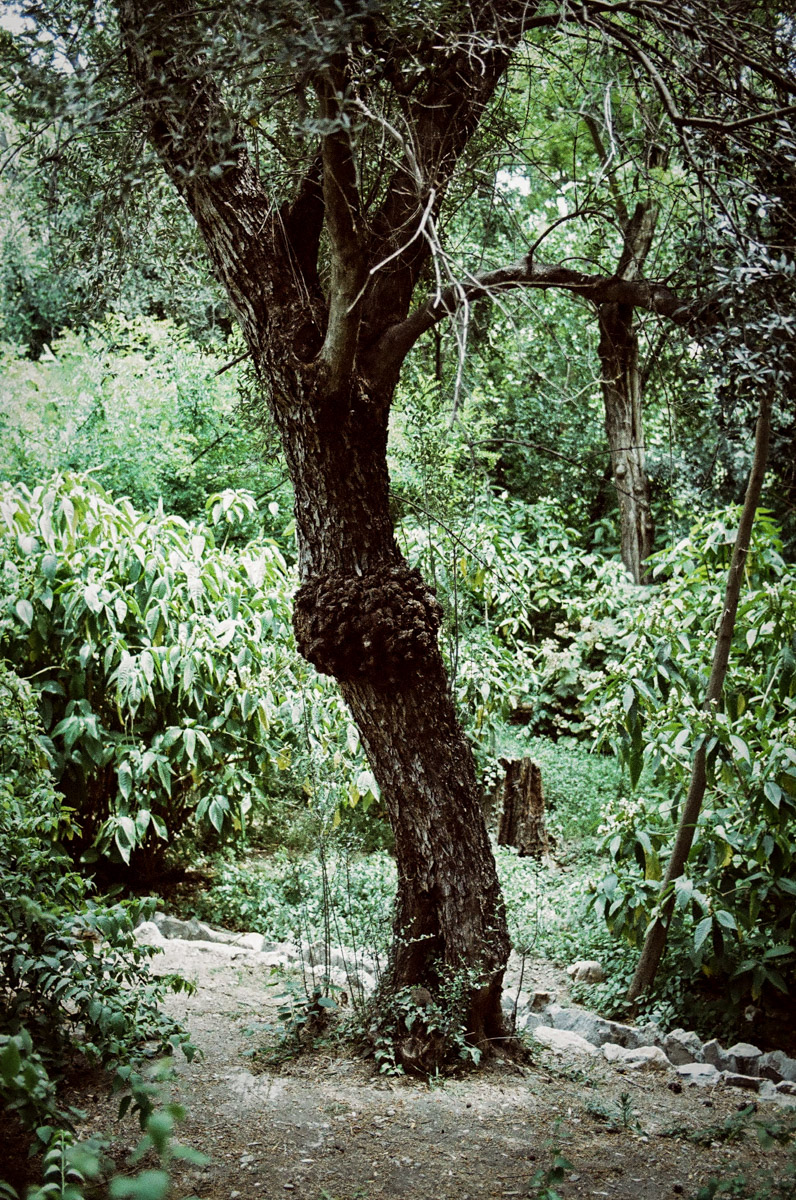 JardinNatBT-27