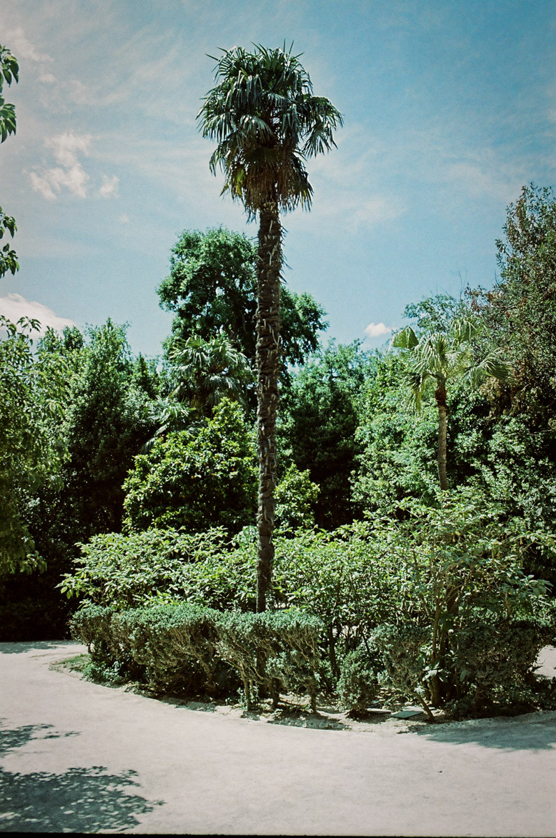 JardinNatBT-5