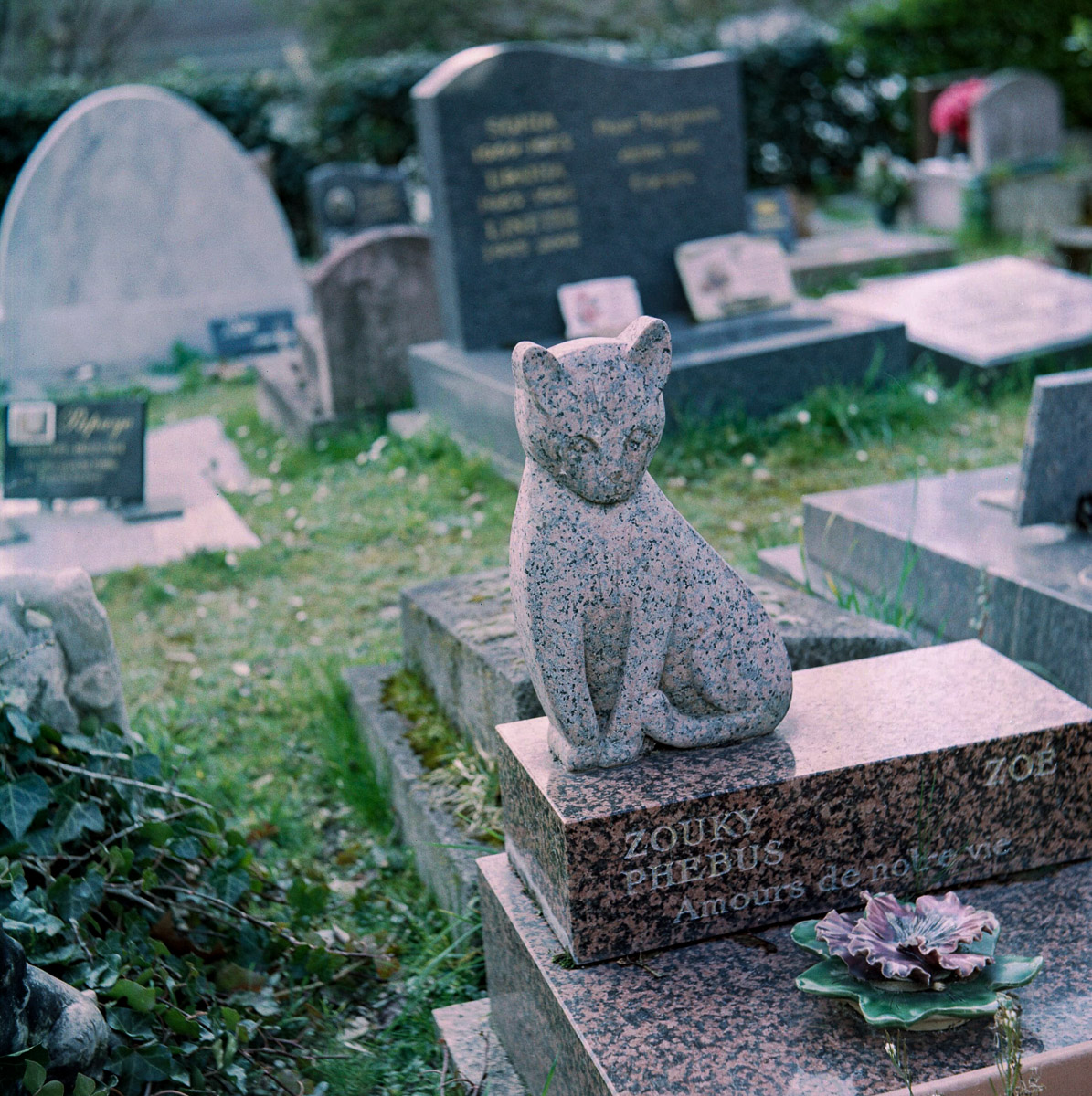 RIPchiensBT-22