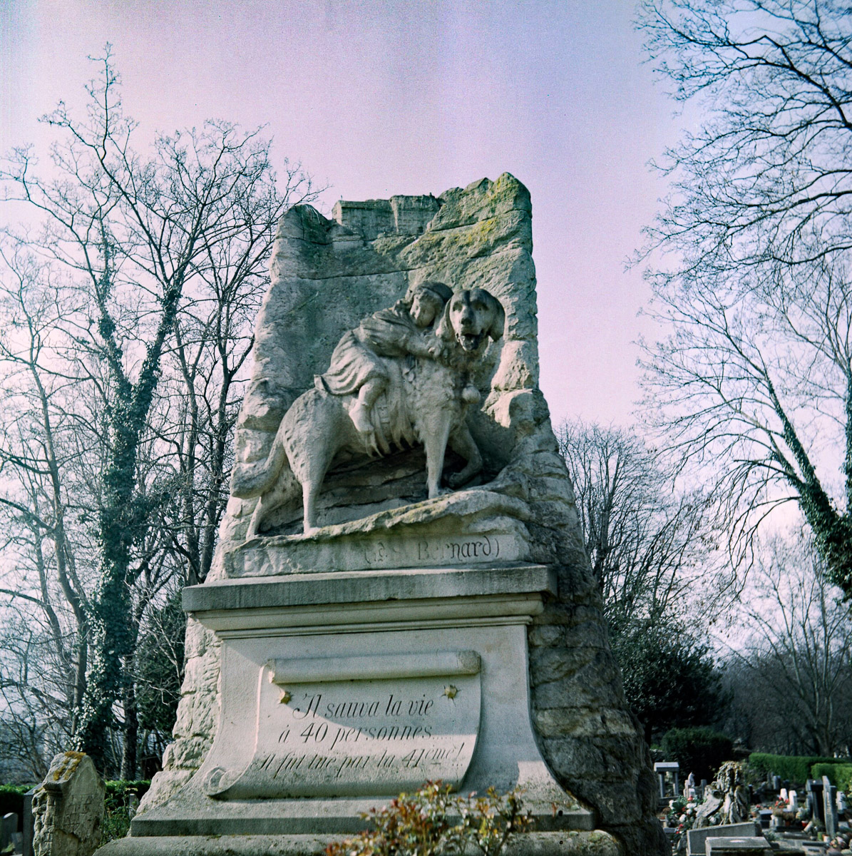 RIPchiensBT-23