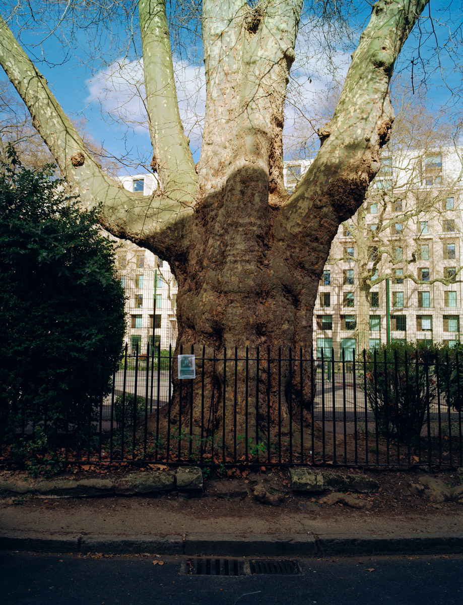 LondonBT-52