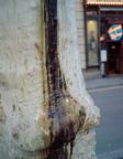RamblaBT-11.jpg