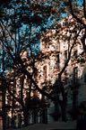 RamblaBT-44.jpg
