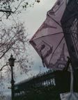 champselyseesBT-27.jpg