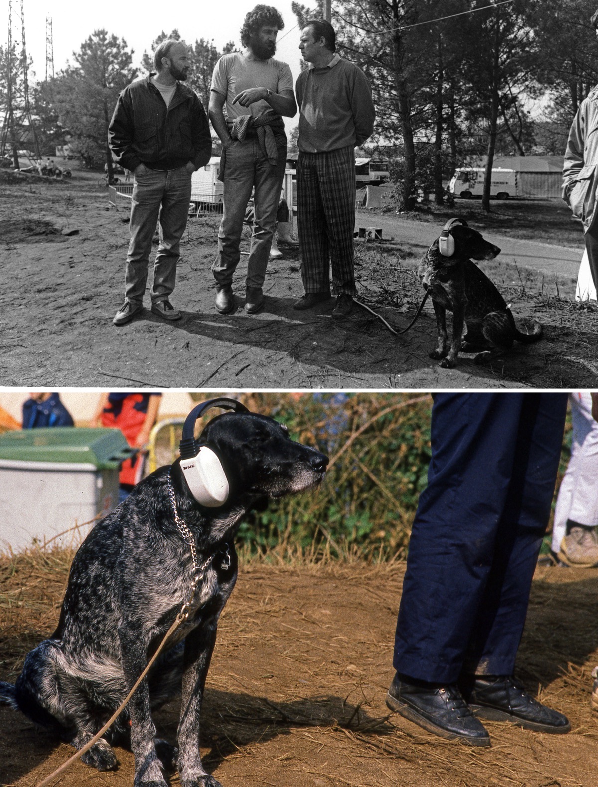 Le chien des 24 Heures - 24 h du Mans - Le Mans, juin 1987 et juin 1989.
Je l'ai d&eacute;j&agrave; dit ici, j'ai longtemps &eacute;t&eacute; un fan des courses automobiles d'endurance, et tout particuli&egrave;rement des 24 heures du Mans. Je me suis rendu de nombreuses fois sur le circuit, histoire de me plonger dans le bruit et l'odeur des bolides. Histoire aussi de photographier les &agrave;-c&ocirc;t&eacute;s de la course, toujours amusants. En 1987, j'avais tir&eacute; le portrait de ce chien fascin&eacute; par ce qui se passait sur la piste, du c&ocirc;t&eacute; de Mulsanne. Il &eacute;tait bien &eacute;quip&eacute;, avec son casque anti-bruit. En recherchant dans mes archives, j'ai retrouv&eacute; le m&ecirc;me chien, photographi&eacute; deux ans plus tard, en noir et blanc. Toujours avec son casque, toujours aussi passionn&eacute;. Comme quoi, il n'y avait pas que moi pour fr&eacute;quenter r&eacute;guli&egrave;rement le circuit de la Sarthe...