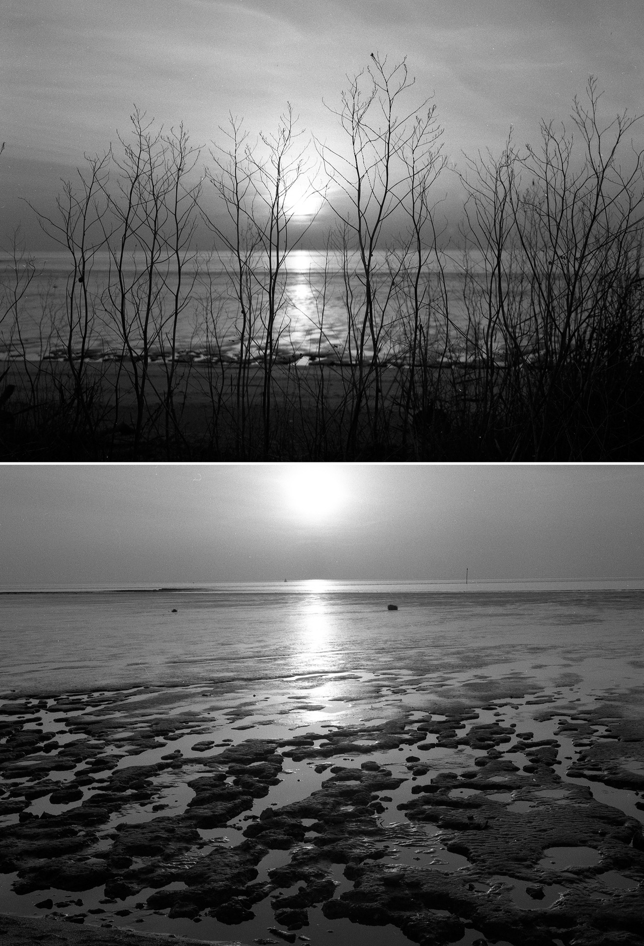 Ma Plage &ndash; Talmont sur Gironde &ndash; France &ndash;  hiver 1988

&laquo;&nbsp;The world is turnin',
I hope it don't turn away,
The world is turnin',
I hope it don't turn away.
All my pictures are fallin'
from the wall where
I placed them yesterday.
The world is turnin',
I hope it don't turn away.&nbsp;&raquo; (Neil Young, On the Beach)

C'&eacute;tait la plage de mon enfance, celle o&ugrave; j'ai appris &agrave; nager, sur les bords de la Gironde. A mar&eacute;e basse, il fallait marcher longtemps dans la vase pour atteindre la mer. Et seulement aux grandes mar&eacute;es, on n'avait pas pied, tellement l'eau &eacute;tait peu profonde. Sur la petite dune, en bord de la route c&ocirc;ti&egrave;re, je construisais des forteresses de sable. Plus tard, j'y ai connu mes premiers amours d' adolescent. Les grandes temp&ecirc;tes de l'an 2000 ont compl&egrave;tement chang&eacute; la physionomie du lieu. La plage est encore plus petite aujourd'hui. Et les herbes ont pouss&eacute; sur la vase, emp&ecirc;chant la mar&eacute;e d'arriver. Ces images, je les ai prises avec mon Fuji 4,5X6 folding, un superbe appareil, mais fragile comme du verre. Fragile comme ces souvenirs d'&eacute;t&eacute;s pass&eacute; .